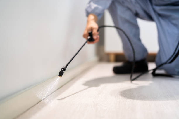 Licensed Rodent Control service in Slippery Rock University, PA - Nex Pest Control