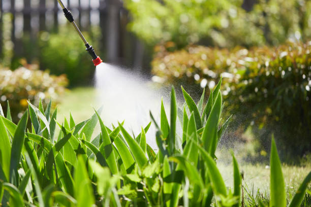 24/7 Emergency Rodent Control experts in Slippery Rock University, PA