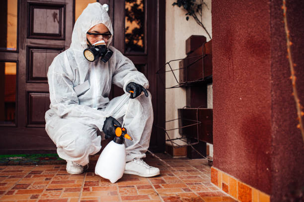 Reliable Rodent Control contractor in Slippery Rock University, PA by Nex Pest Control