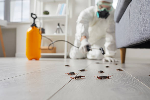Trusted Cockroach Control service in Slippery Rock University, PA - Nex Pest Control