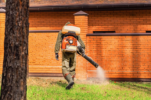 Trusted Rodent Control service in Slippery Rock University, PA - Nex Pest Control